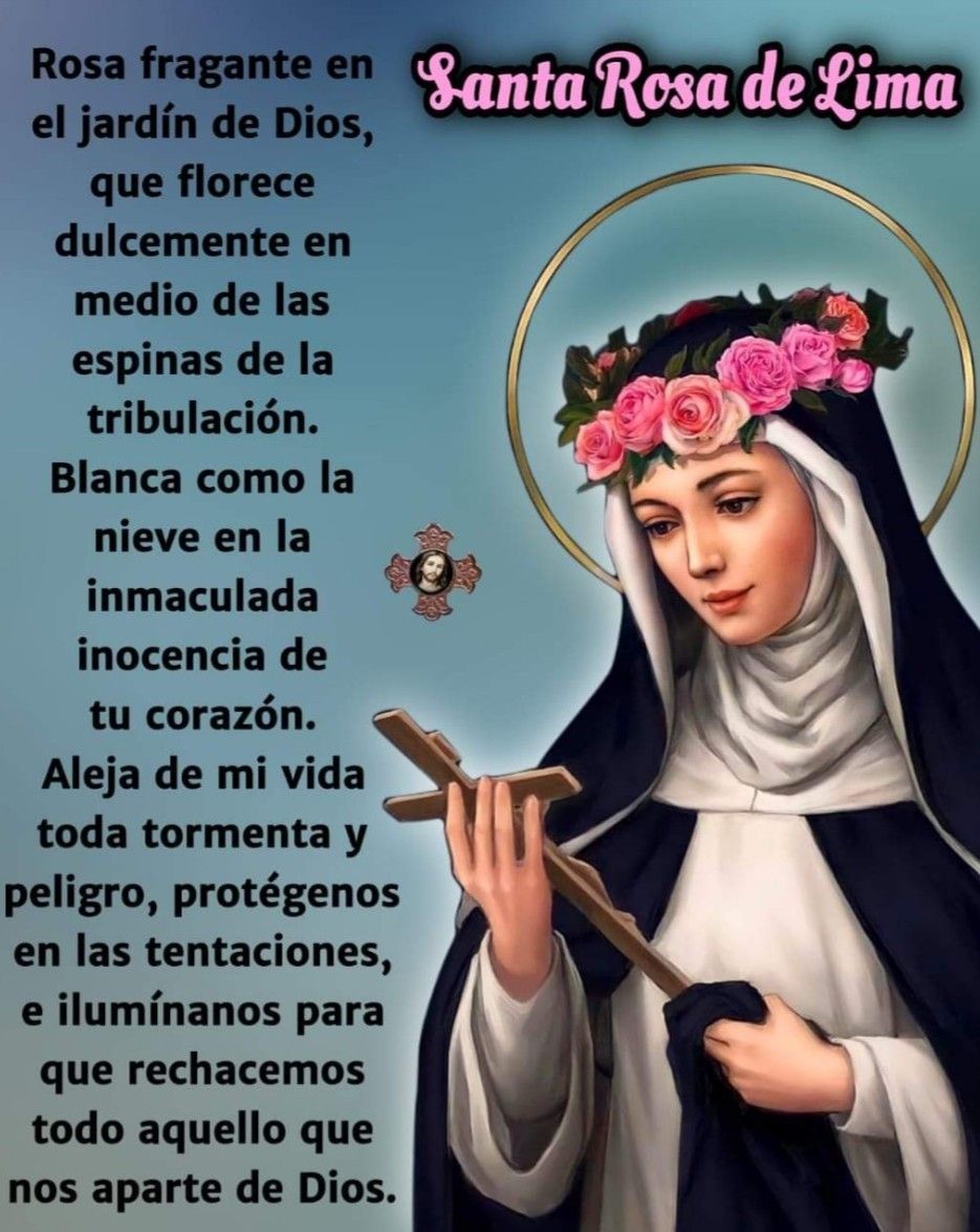 Divina Misericordia - 30 De Agosto Santa Rosa De Lima 1