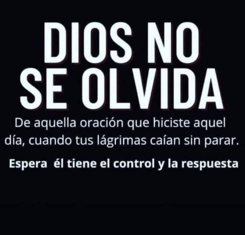 Divina Misericordia - Dios Jamas Olvida A Su Tiempo Lo Veras