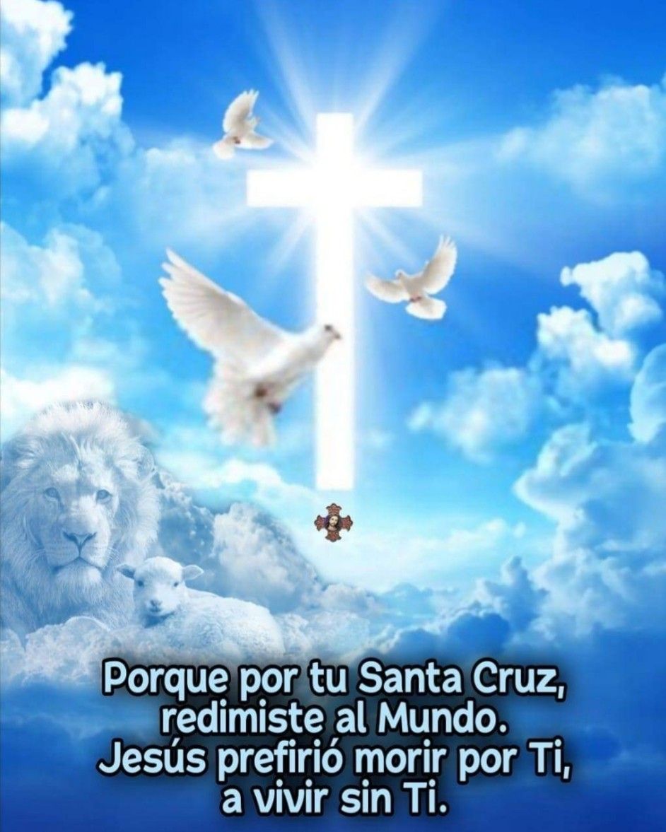 Divina Misericordia - Divina Misericordia 1