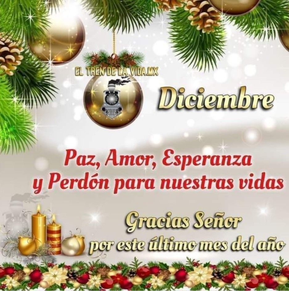 Divina Misericordia - Feliz Mes De La Navidad