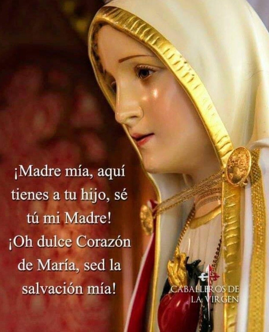 Divina Misericordia - Oh Dulce Corazon De Maria Ses La Salvacion Mia 2