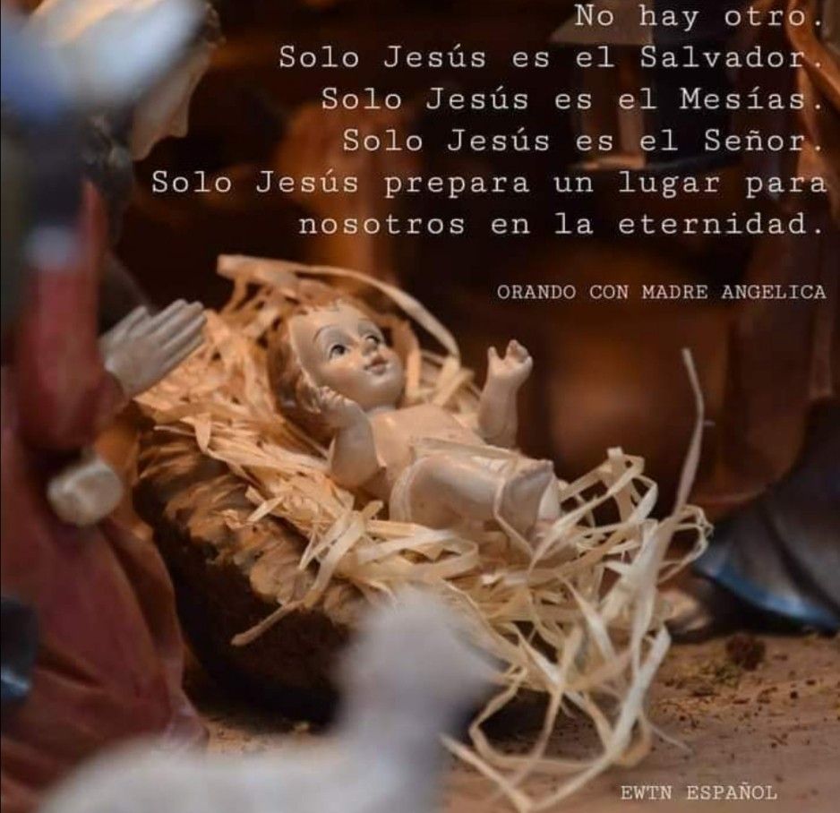 Divina Misericordia - Solo Tu Senor Jesus 1
