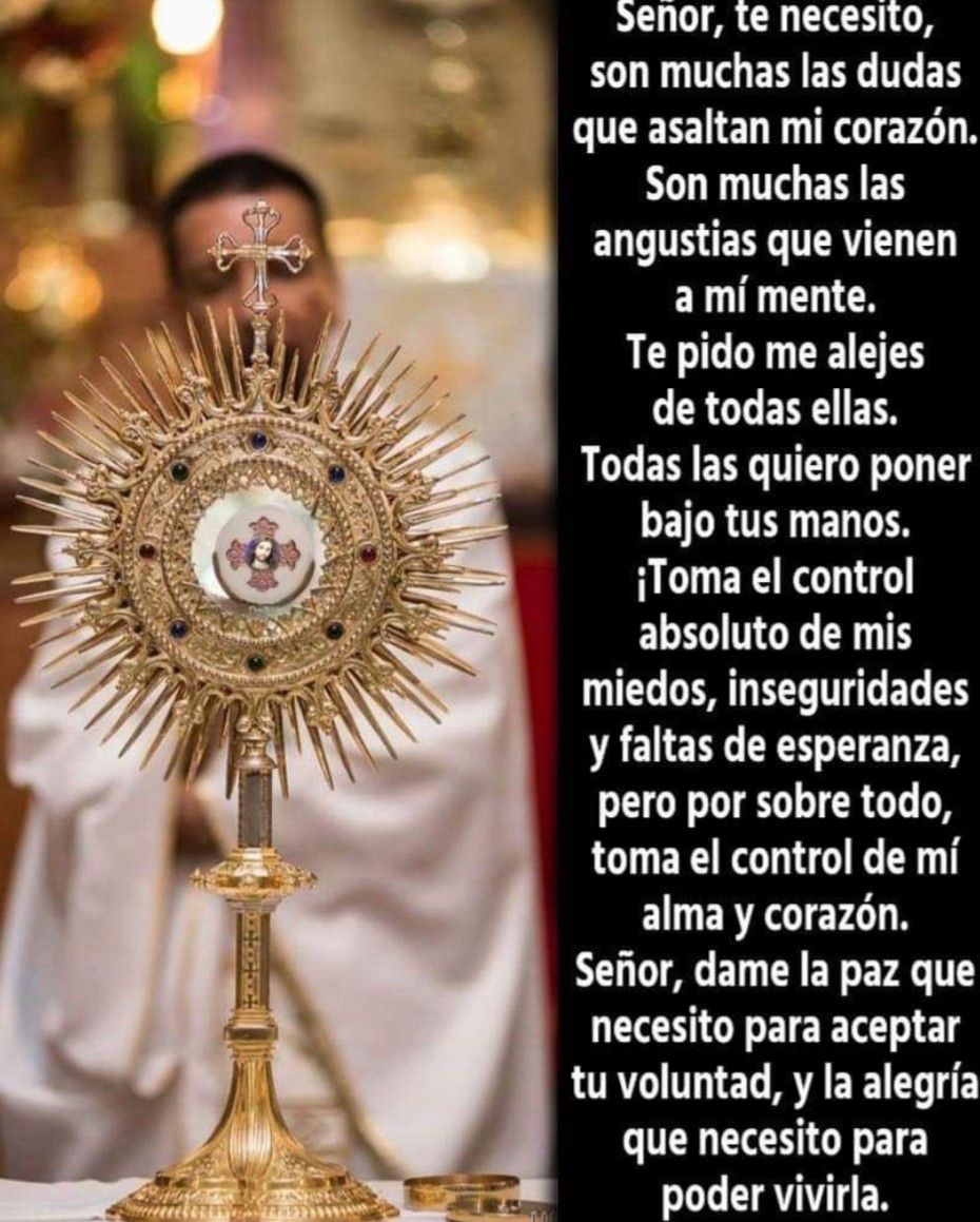Divina Misericordia - Tu Nuestro Salvador Jesucristonuestra Unica Medicinanuestra 1