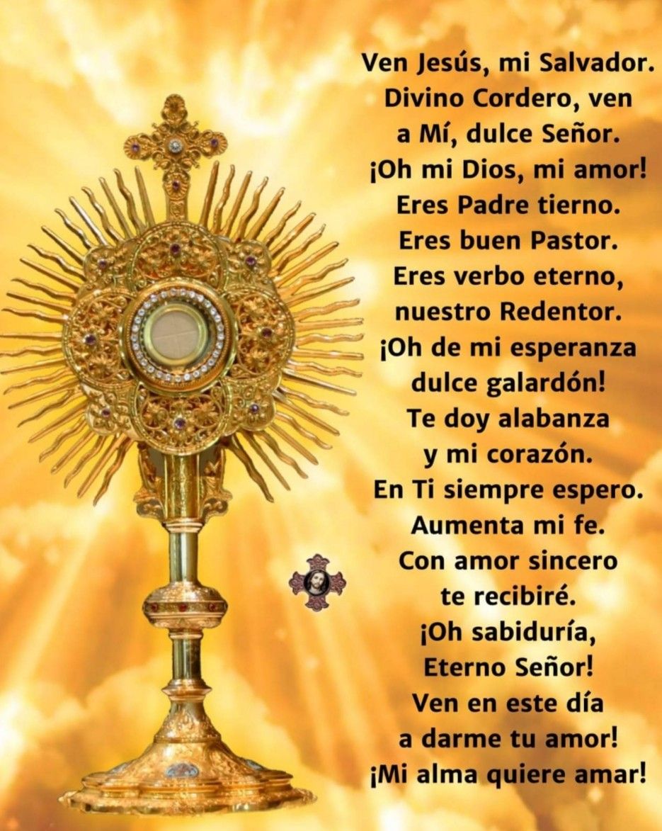Divina Misericordia - Ven Jesusmi Salvador 1