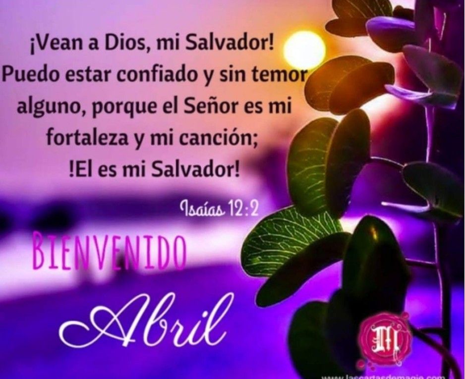 Divina Misericordia - Victoria En Cristo