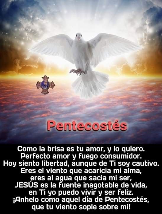 Infinita Misericordia - Amenamenamen 2