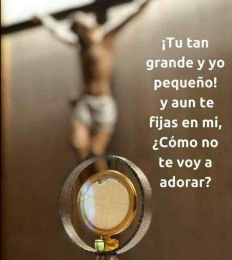Infinita Misericordia - Ya No Eres Pan Y Vinoeres Cuerpo Y Sangre Y Vives En Nosotro