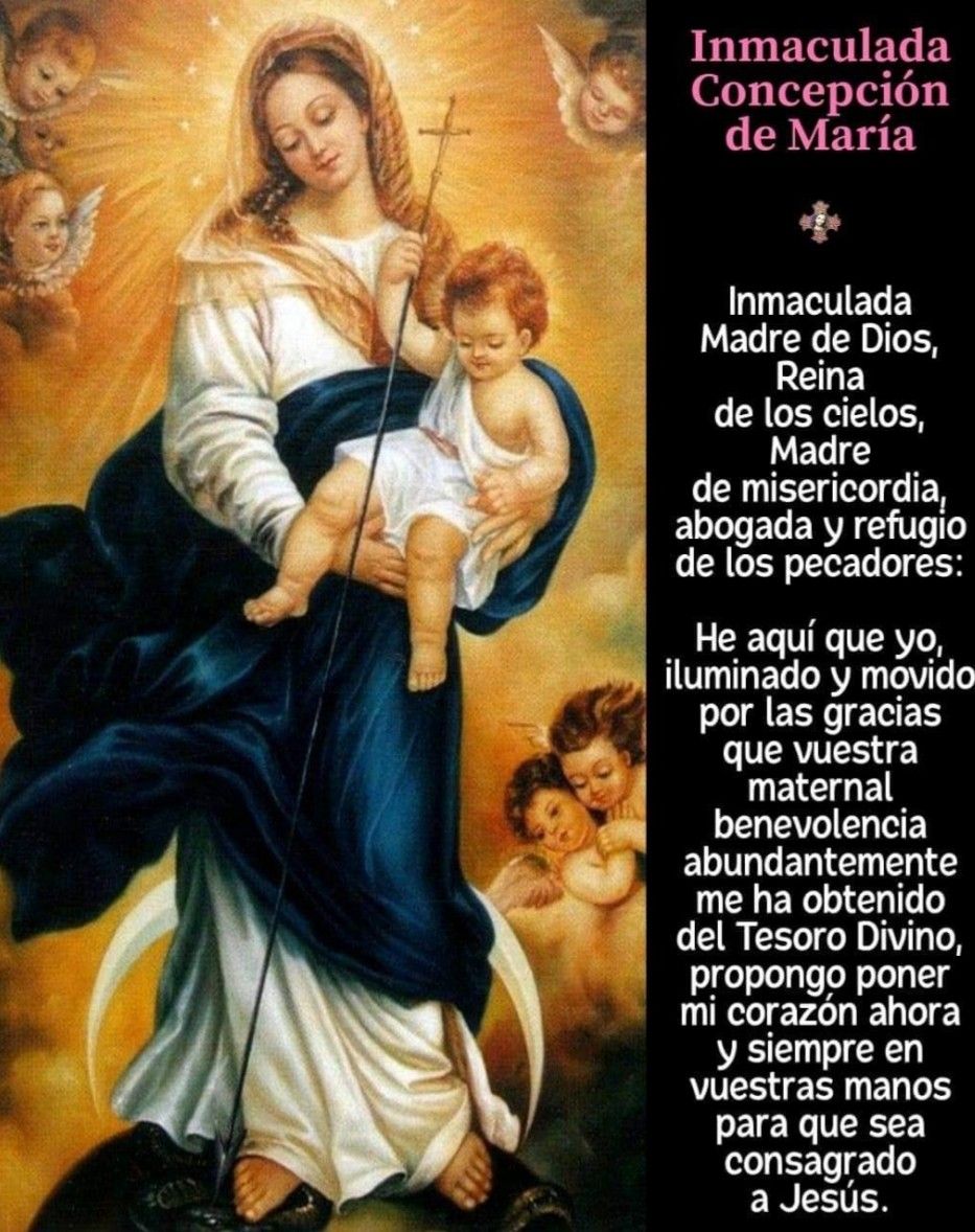 Inmaculada Concepción de María - Inmaculada Concepcion De Maria