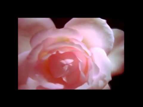 Santa Teresita del Niño Jesús - Prisionero De Amor