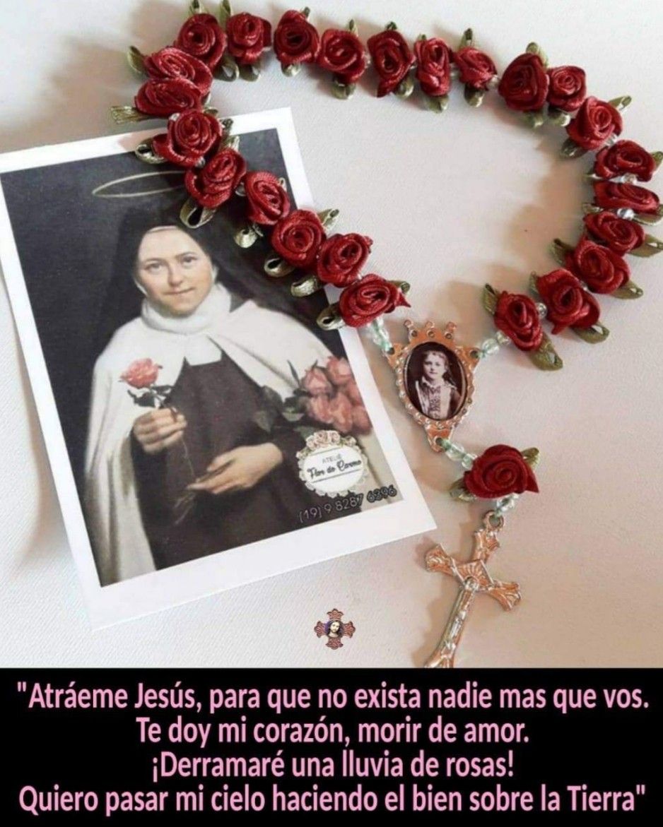Santa Teresita del Niño Jesús - Santa Del Amor Porque Tu Eres El Amor Mismo Santa Teresita D 1