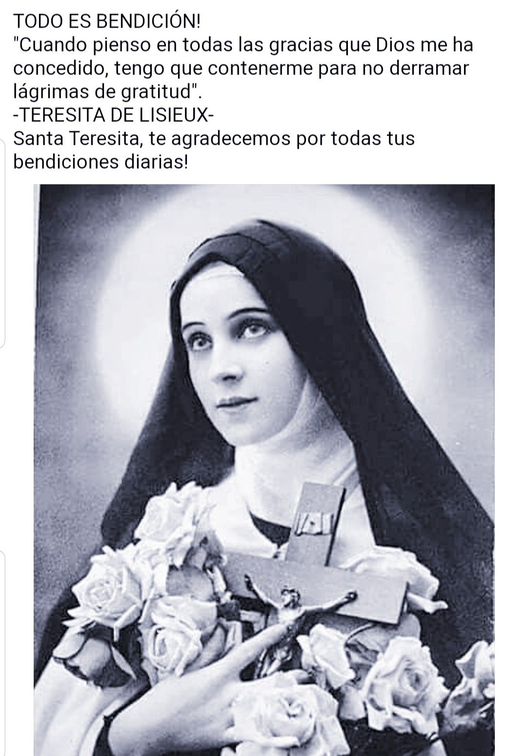 Santa Teresita del Niño Jesús - Santa Teresita Del Nino Jesus