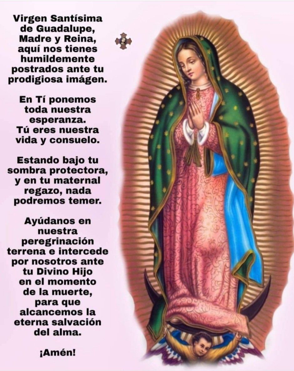 Virgencita de Guadalupe - Virgencita De Guadalupe