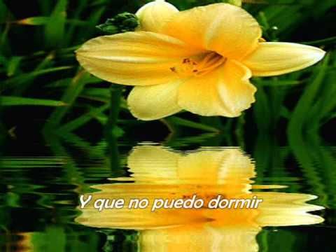 Virgencita del Rosario de San Nicolas - Si Ves A Mi Amado Lilly Goodman 1